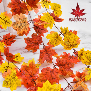 ����t���~�ٗl��ڼ٘��~���f�}�����}�����쾰�������b���