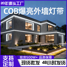 220v�߉�cob�􎧑����ˮ�컨���۸����Շ��o�w����������led���l