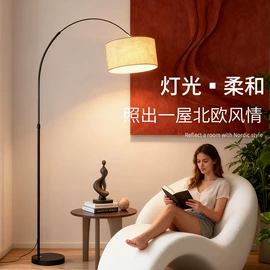 阅读台灯;装饰台灯;落地灯