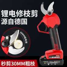 電動剪刀園林電動修枝剪果樹家用園林園藝鋰電充電果樹粗枝電剪刀