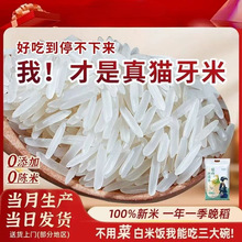 ��ɽ����؈�����L�����׳��L���������r�ҽz��������������2