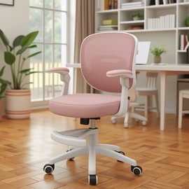 办公椅;休闲椅/凳;儿童学习桌椅