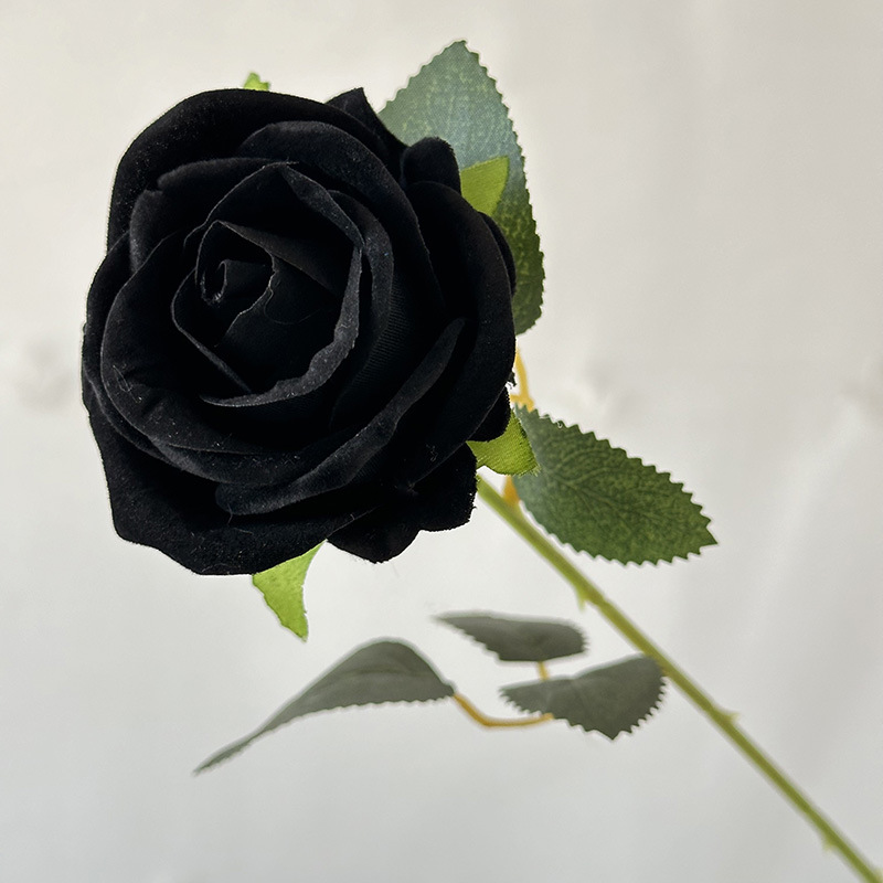 검은색