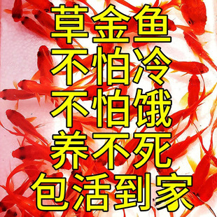 �^�p�~���~���B�������~С�~���~С������B�ͻ��B������С���~