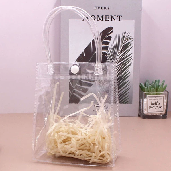 Transparent Bag + Raffia