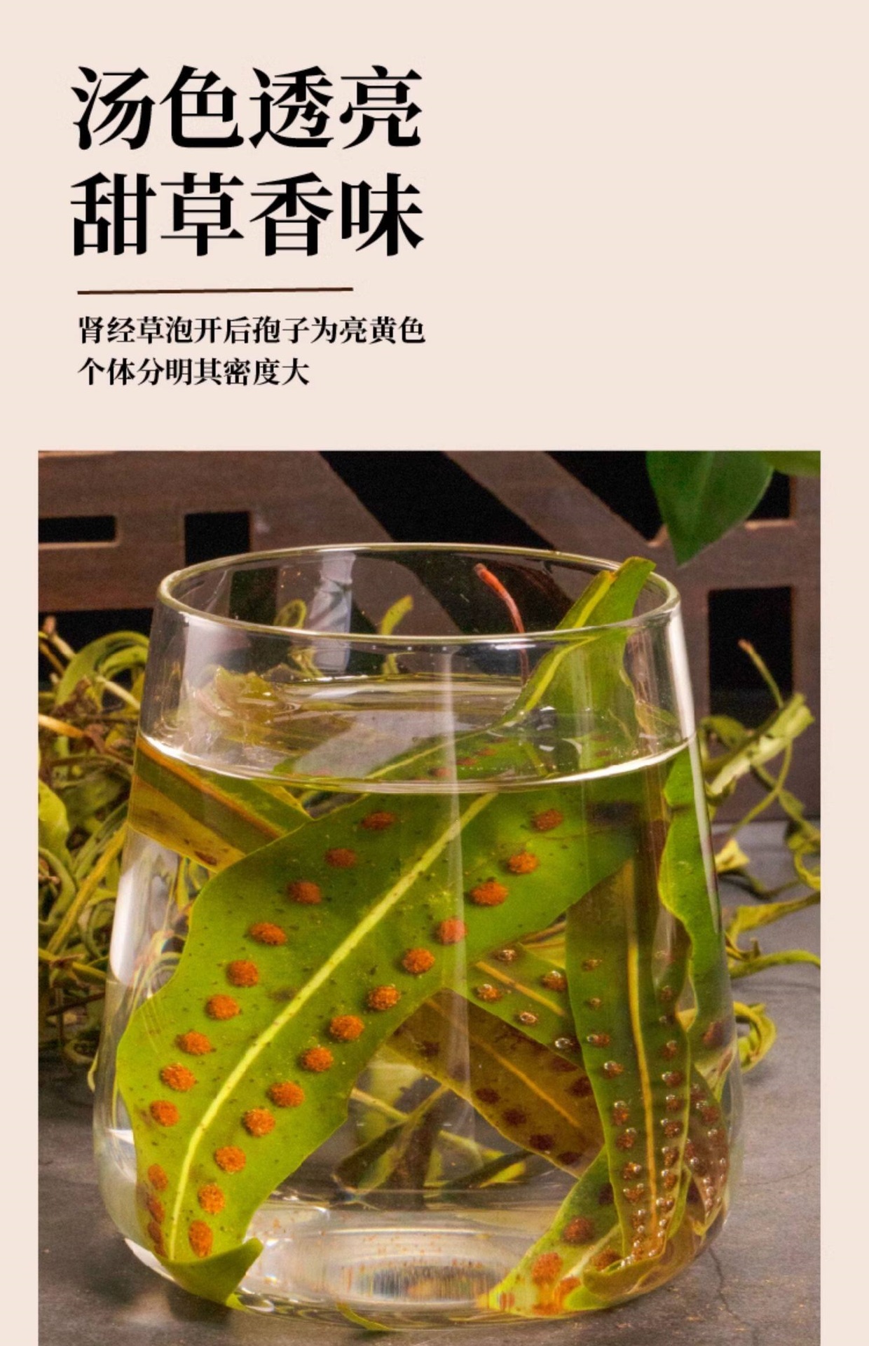 Wild Kidney Essence Herb Shen Jing Cao 200g Dried Herbal Tea from Changbai Mountain specifications