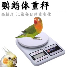 SF400家用跨境猫狗粮食物克称物秤小型宠 鹦鹉体重秤   PET SCALE