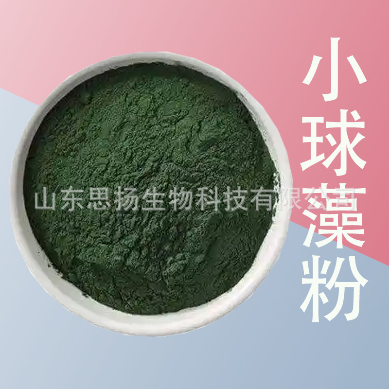 小球藻 食品级小球藻粉 饲料级蛋白核小球藻粉