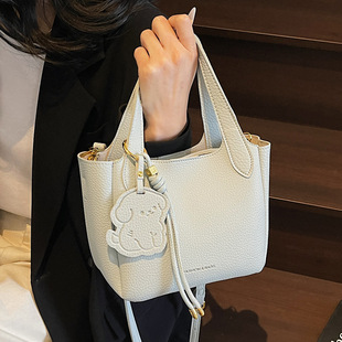 Niche Design Mini Bag Women's 2025 New Summer Crossbody Bag This Year's Popular Bucket Bag