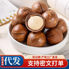 奶油夏威夷果薄皮大果坚果代发批发250g 胡桃果零食手剥夏威夷果