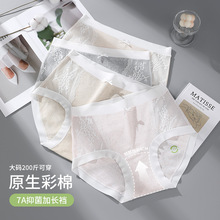 60s天然彩棉大码内裤女200斤全裤抗菌纯棉加长裆高腰蕾丝三角裤头