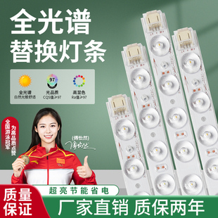 Full Spectrum Led Ceiling Light Wick Replacement Retrofit Light Panel Light Strip Light Plate Long Strip Patch Light Source