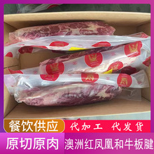����203�t�P�˺�ţ����M4-5ѩ��ţ��ĵϠ������