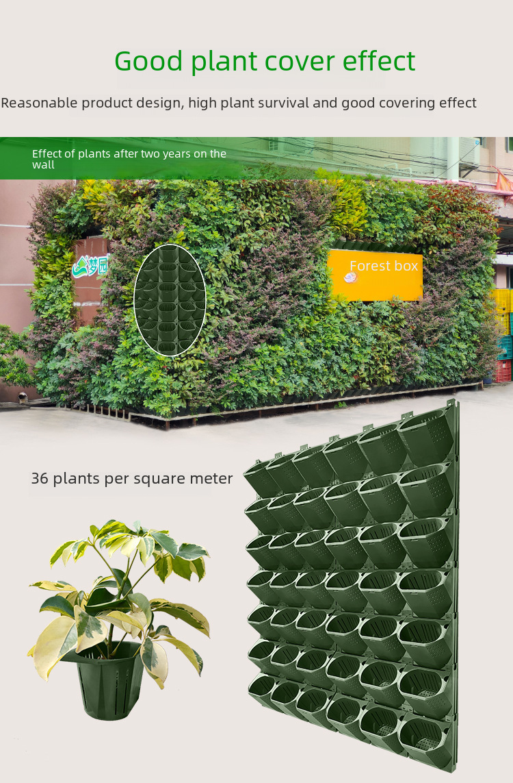 Hanging Plant Pot Image 1