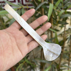 16CM 混色贝壳勺子个性创意咖啡搅拌加长柄勺酒店厨房果汁搅拌勺