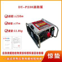 DY-P230늄�ɭ���������ˮ�Ï���ˮ���x�ı��Ƅӱ�yʽݔˮ��