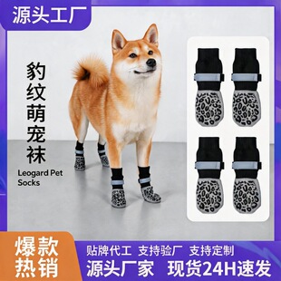 �羳�����m�ӷ����״���Ȯ���m��ץ�o�����m�Ӻ�ɫ���y��Ь���l