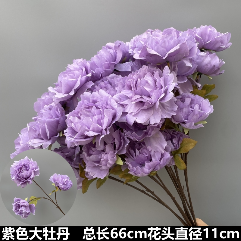 큰 보라색 모란