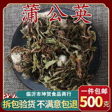 蒲公英草干草婆婆丁浦公英叶子全草新鲜包邮中药材500g