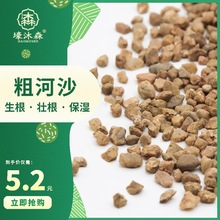 水培沙石养鱼粗河沙多肉植物装饰过滤沙石底部鱼缸造景沙粒