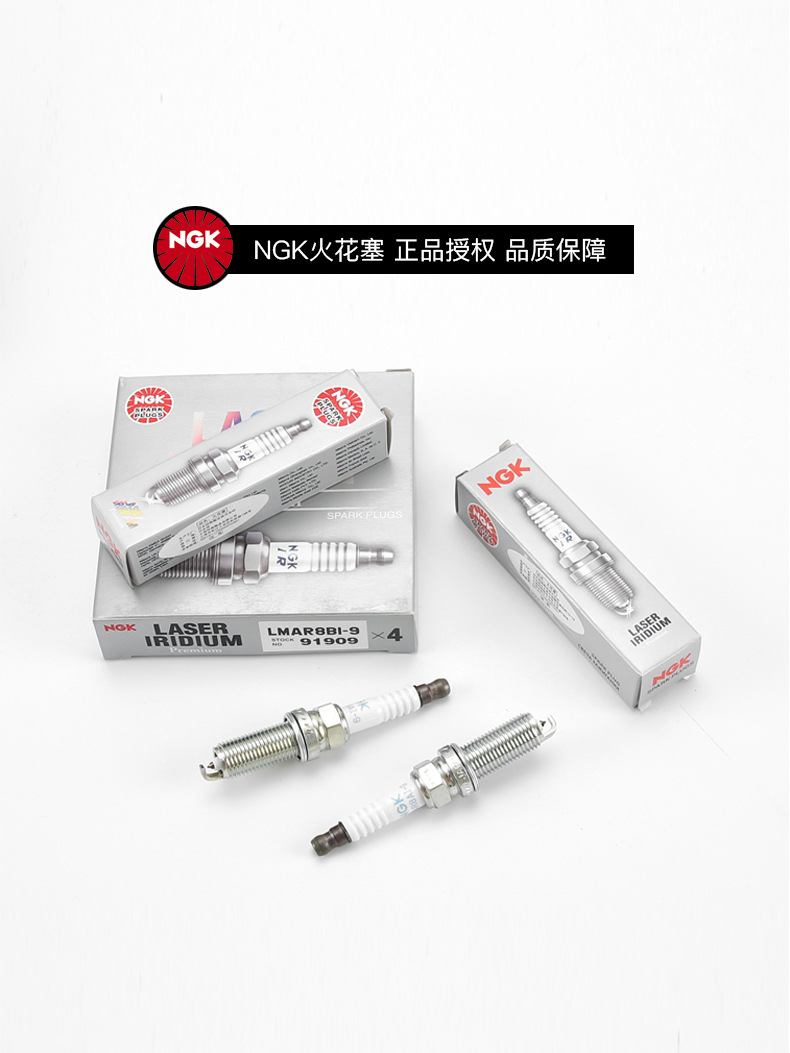 Genuine Ngk Original Spark Plug Qianjiang Scooter Hong 250/50Adv/350 Sunshine Dino 150