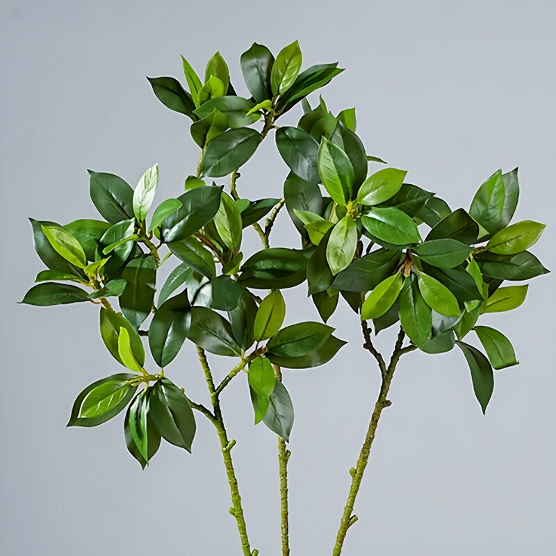 Lucifer Tree Money Tree Grey Pear Leaf Fortune Leaf Simulation Green Plant Branch Flower Insertion Tree Landscape Ornaments Living Room Ornaments Lucifer Tree Money Tree Grey Pear Leaf Fortune Leaf Simulation Green Plant Branch Flower Insertion Tree Landscape Ornaments Living Room Ornaments