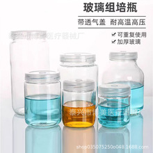 厂家批发 玻璃组培瓶240ml350ml 透明虫草瓶 兰花幼苗培养瓶菌瓶