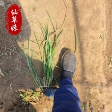 �������l���~â�������� ���̾G��ˮ���ر��^�p�ݶ�����ֲ����~