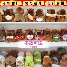 �羳�¿�8��ˮ�๫��ץ�C����ë�q��߿�Ƥ������ż��c�������l