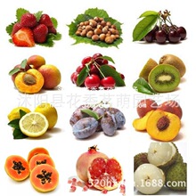 GK�Ό��� ������ɣ����֦ ���� ľ�ϻ������J���� ��÷ ʯ��N��