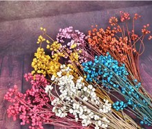 С�׹��ɻ�޲�׹������Ⱦ�tɫ��������diy�������h�b��仨��֦