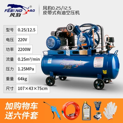 High Pressure Air Pump Spray – Hava kompressorları - 025-125220v2200w