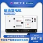 备用风冷跨境移动式发电机组