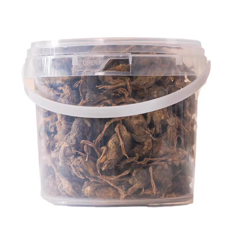 Alimentos nutritivos para perros adultos, perros, perros