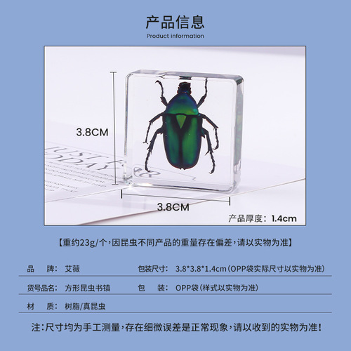 Square resin insect bookend for cross-border new products, student teaching aids, animal specimen, amber craft, decorative item.