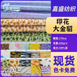 现货印花大金貂针织面料高低毛绒布服饰鞋材毯子玩偶布料布匹整批