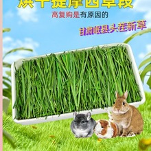 23新草头茬烘干提摩西草段提草北提龙猫兔子草豚鼠兔干草毛重1kg