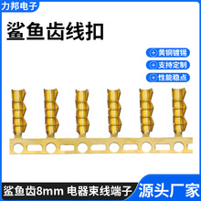 8mm�S�~�M�����~�X����U�Ͱ��������{�~�XU�͉������~�ہK����