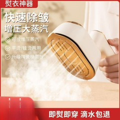 手持ち式衣類アイロン機、小型寮、家庭用ミニスチーム電気アイロン、衣類アイロン、ポータブルその他なし