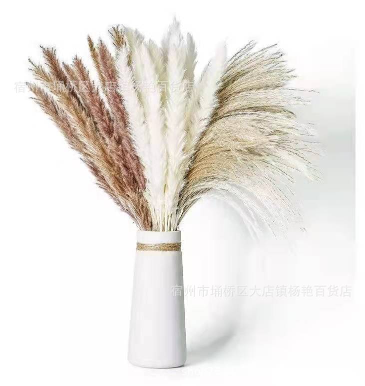 微信图片_20211229222219