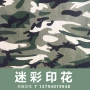 迷彩军用军训印花布料