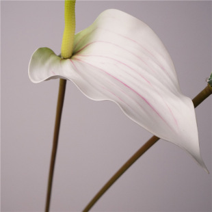 Ī�m���Z�ƔzӰ�^����Ʒ�|����ˇ�t���OӋ�����仨�ָ�ɏܛ�z