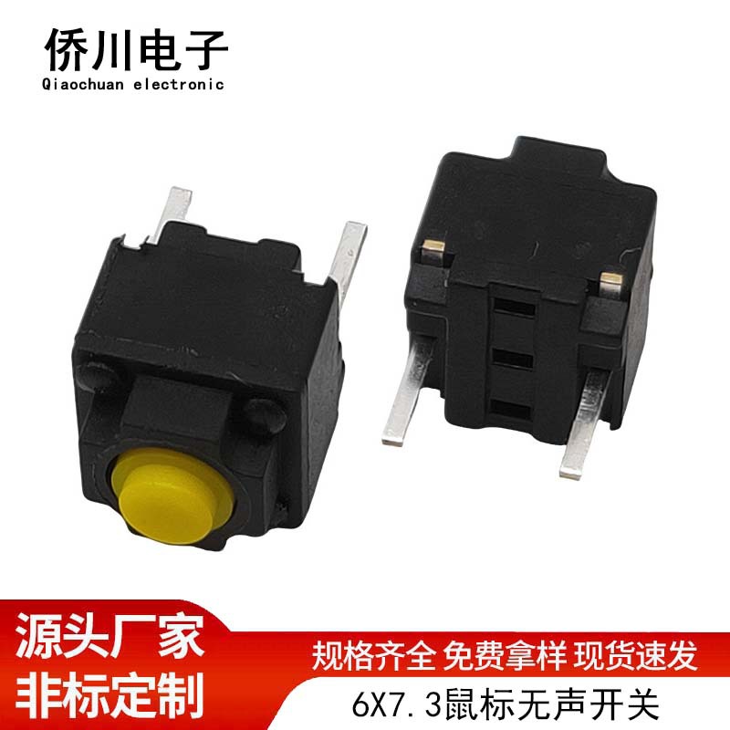 Switch key, mouse, E009