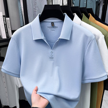 �ļ�100%������ʿ˿���޸߶˶���͸�����з���POLO�����ļ�T����
