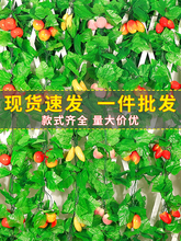 G}~ӵ~G~bٗlϼٻܵړ