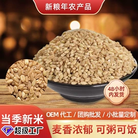 豆类;麦类;高粱类