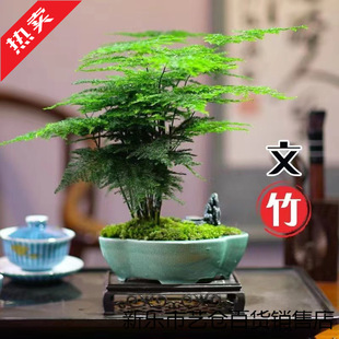 ���������҃�ֲ�������՚��k���ҾGֲ���B�����辰�ļ���������