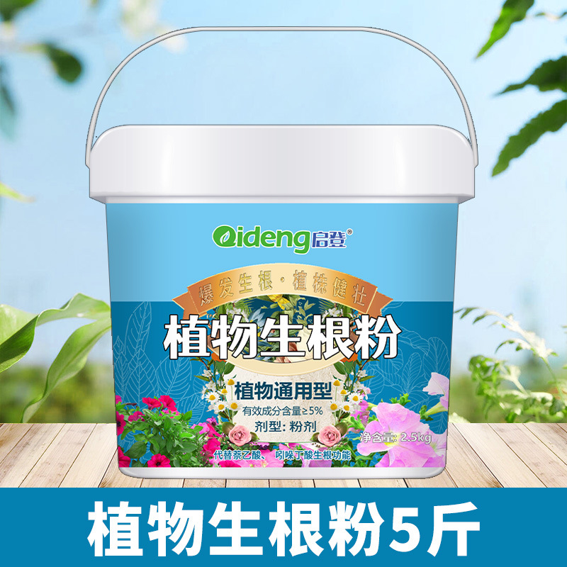 [빅클라이언트 배럴] 발근분말 2500g*1 배럴