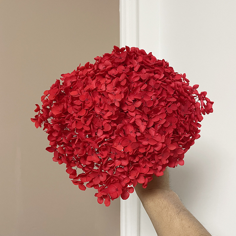 Yunnan Anna Hydrangea Flower Wholesale DIY Flower Preservation Flower Materiales de Regalo de Navidad