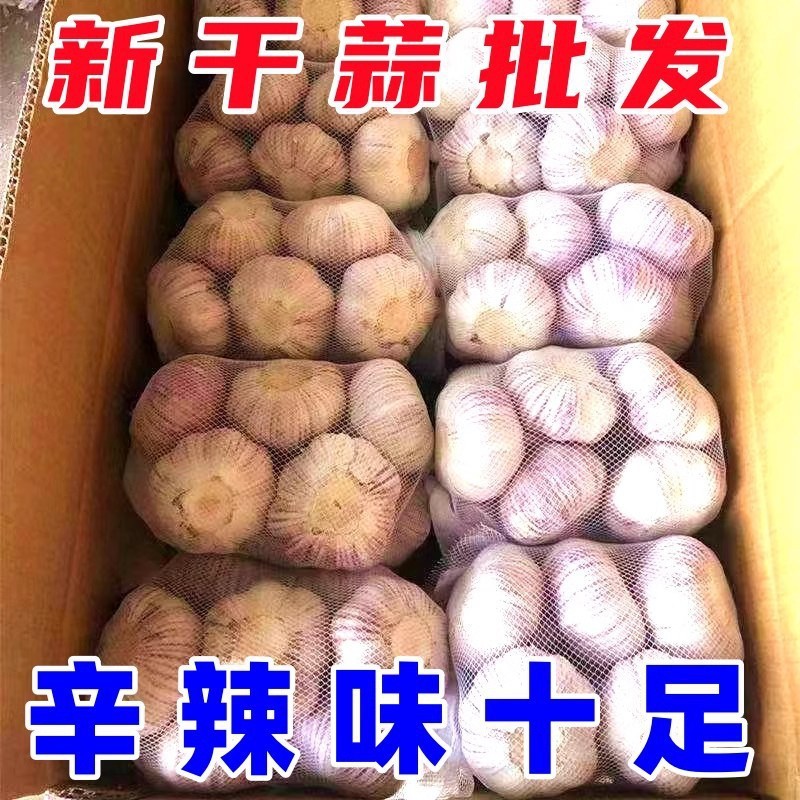 山东新干蒜紫皮大蒜头批发价新鲜红皮优质大蒜子农家自种包邮|undefined